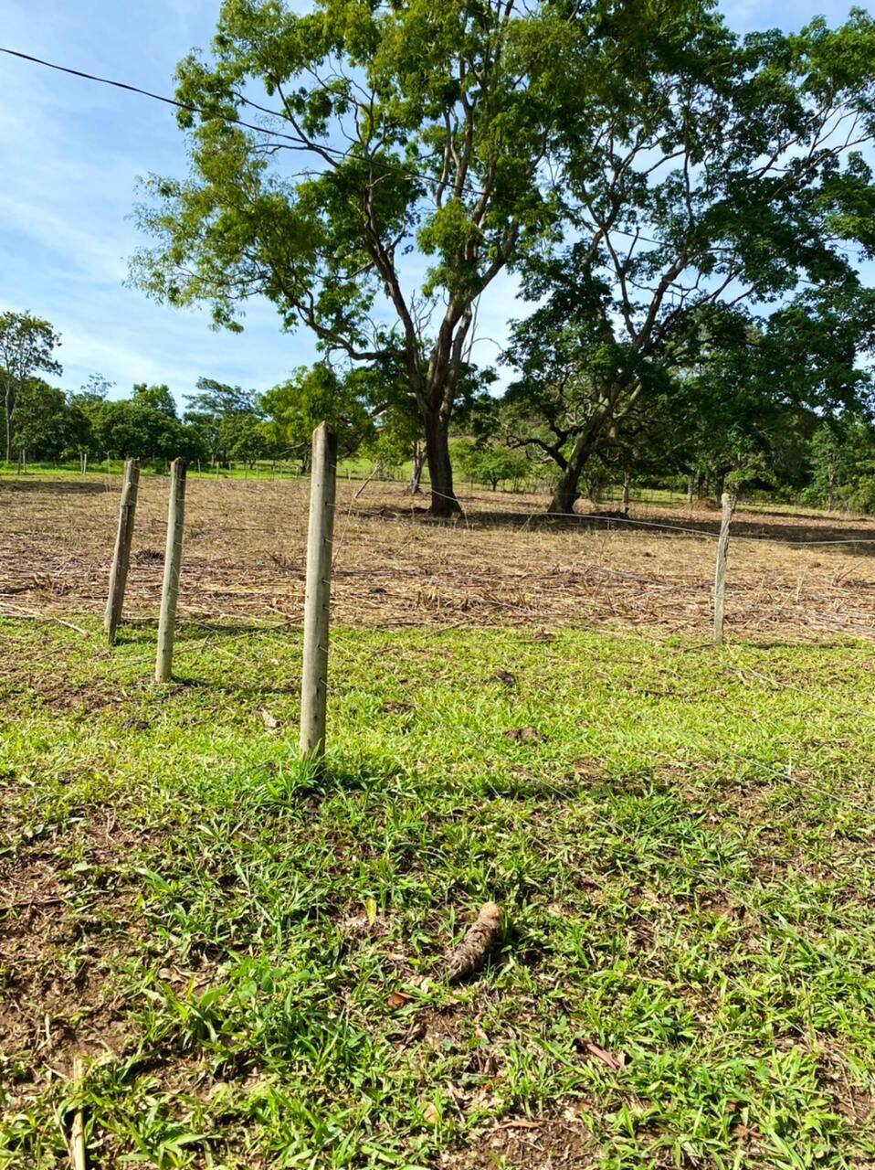 Fazenda em Alexânia-GO 2