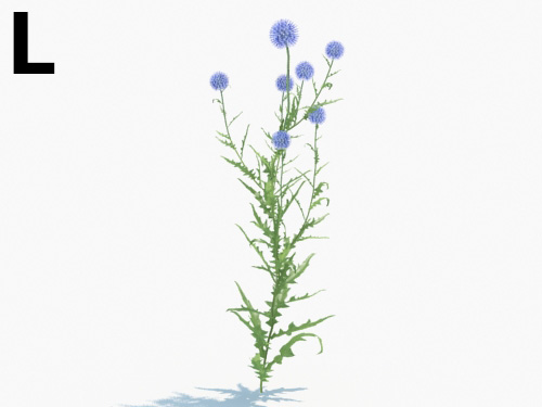 Maxtree - Plant Models Vol.3