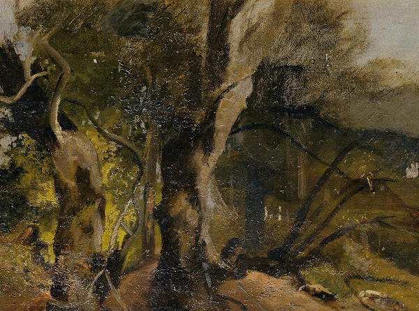 Waldstudie
