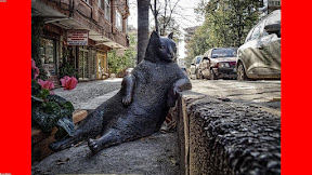 The Longevity Monopoly: Biohacking as the Ultimate Status Symbol