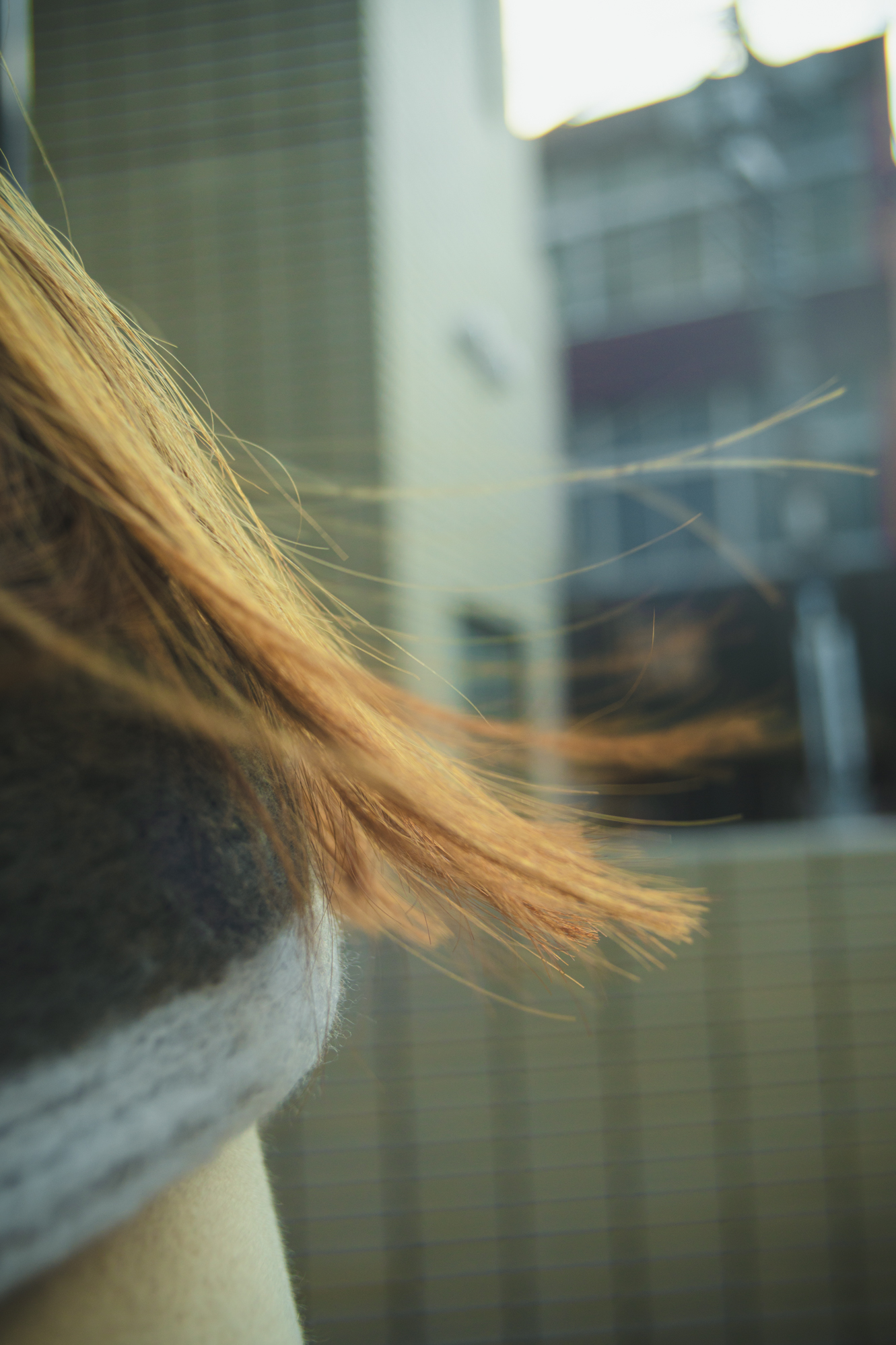 Portrait — Makino Shota