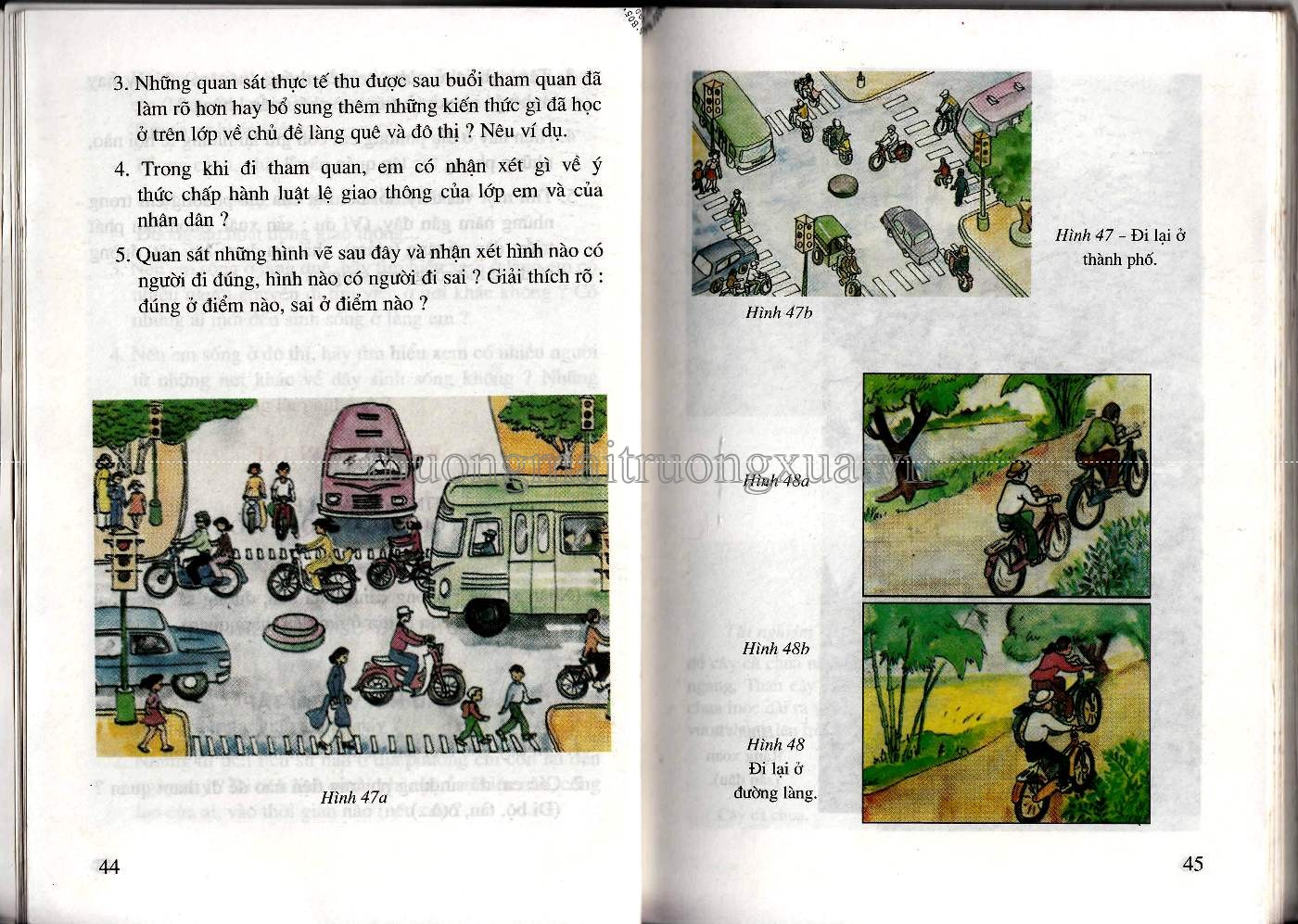 Tự nhiên xã hội 3 (2001) - Trang 23