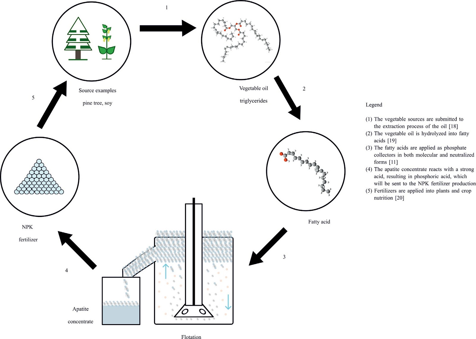 Eco-friendly collectors in apatite froth flotation: A review