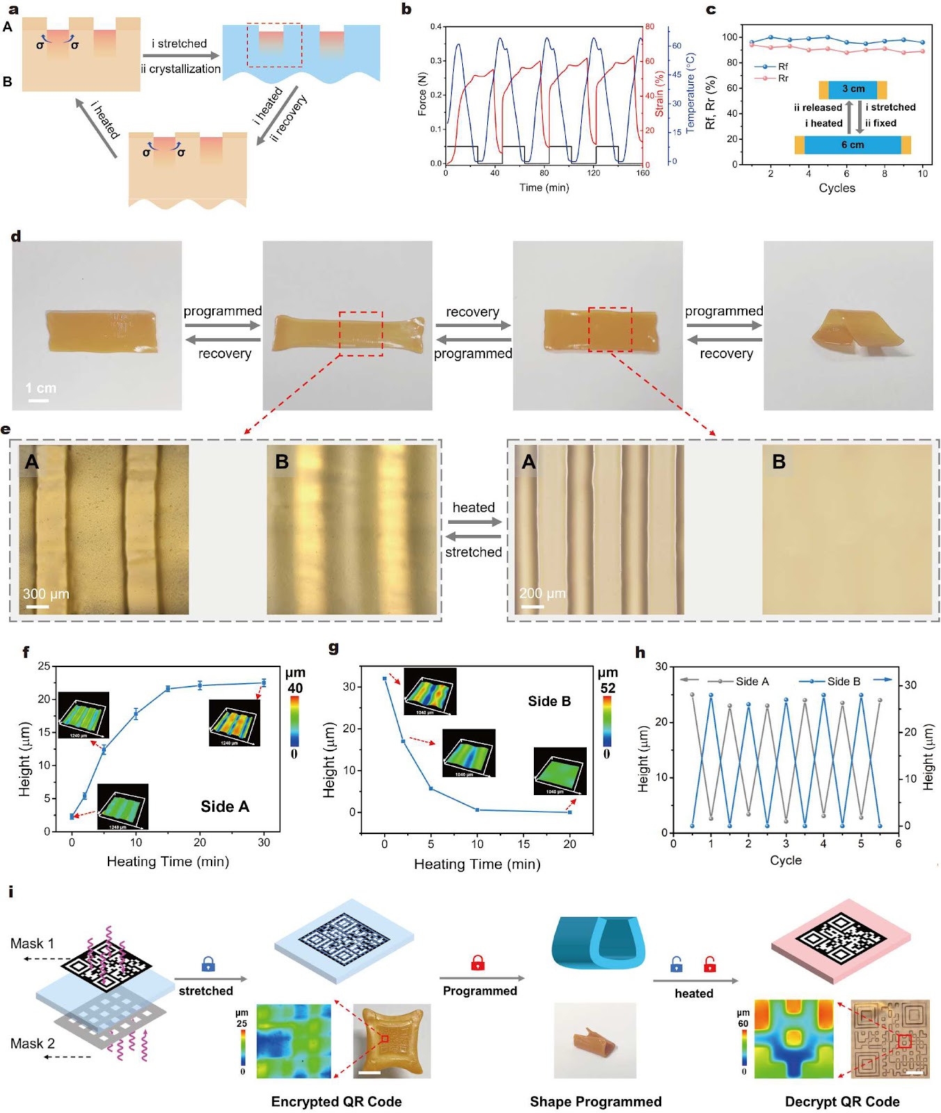 Asymmetric deformation-induced pattern mapping in soft materials regulated by selective photo-crosslinking