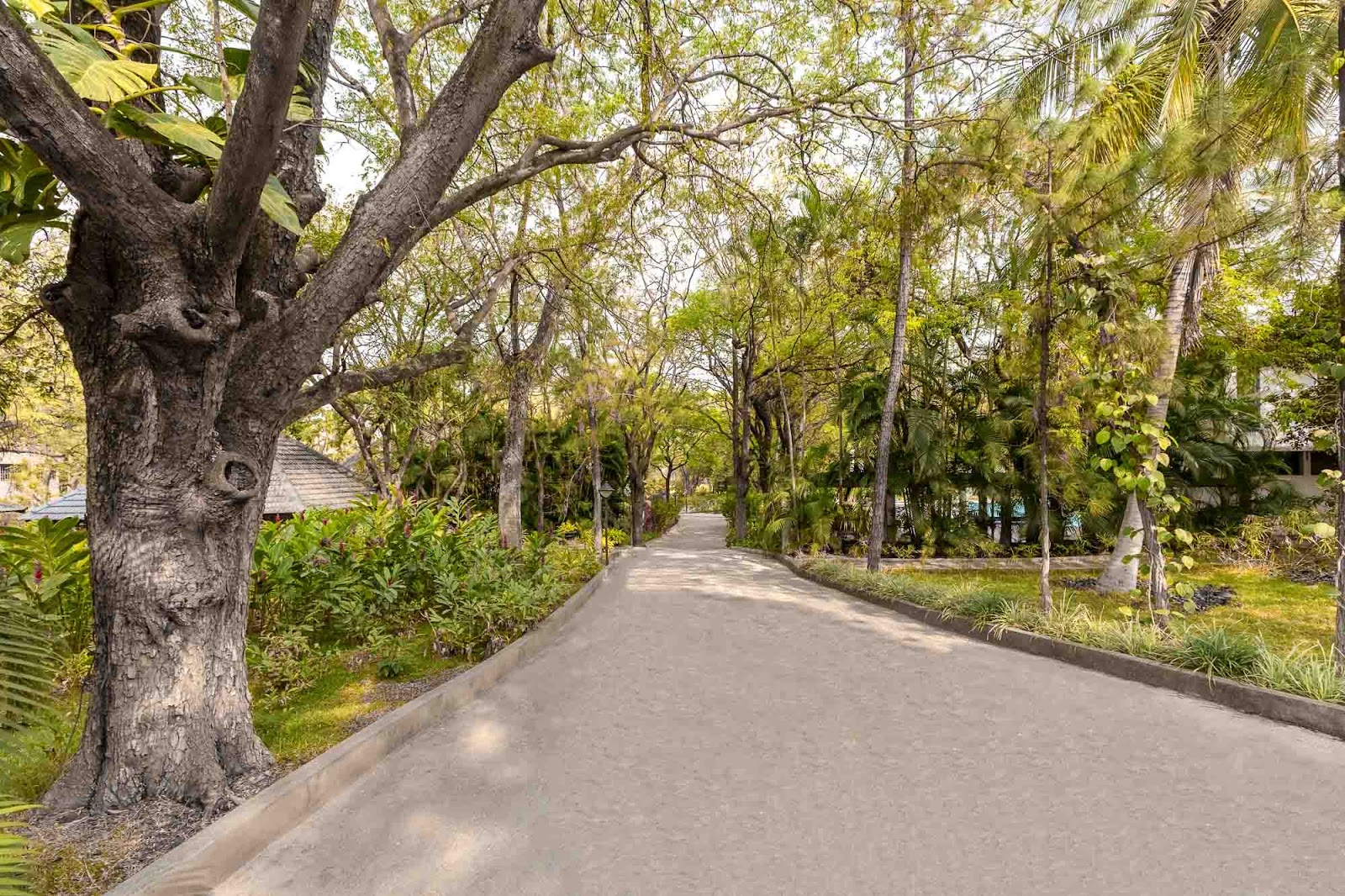 Villa Ananta