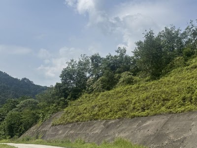 Tanah Pertanian Rezab Melayu Hulu Langat (Batu 21 Jalan Lubok Kelubi) — foto 7/10