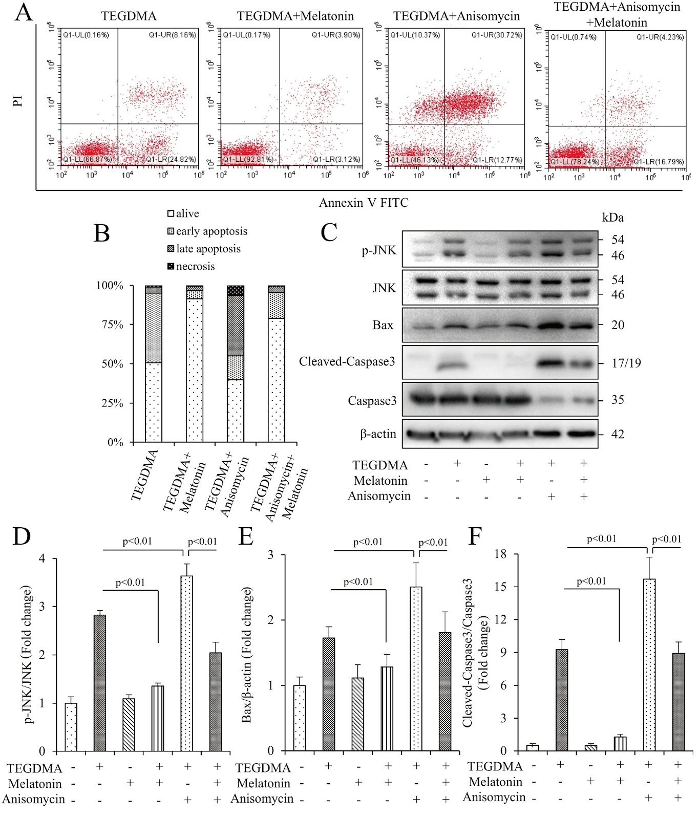 Melatonin protects TEGDMA-induced preodontoblast mitochondrial apoptosis via the JNK/MAPK signaling pathway