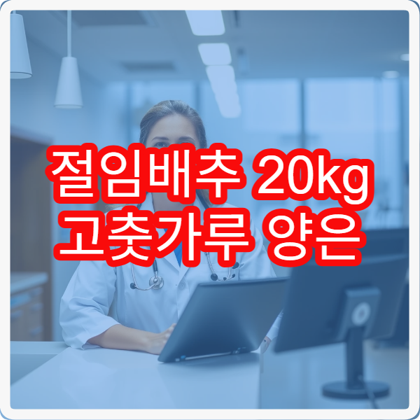 절임배추 20kg 고춧가루 양은 얼마가 적당할까? 실패 없는 김장 비율