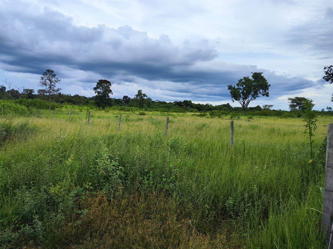 Fazenda no Município de Porangatu - GO 9