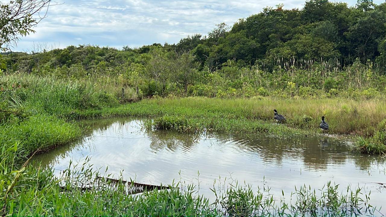 Fazenda em Iturama - MG 7
