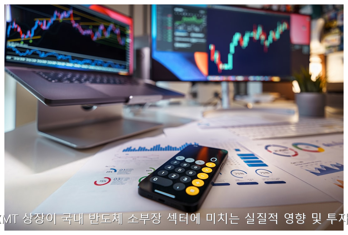 중국 CXMT 상장이 국내 반도체 소부장 섹터에 미치는 실질적 영향 및 투자 가이드 핵심 안내 및 분석 인포그래픽 (7)