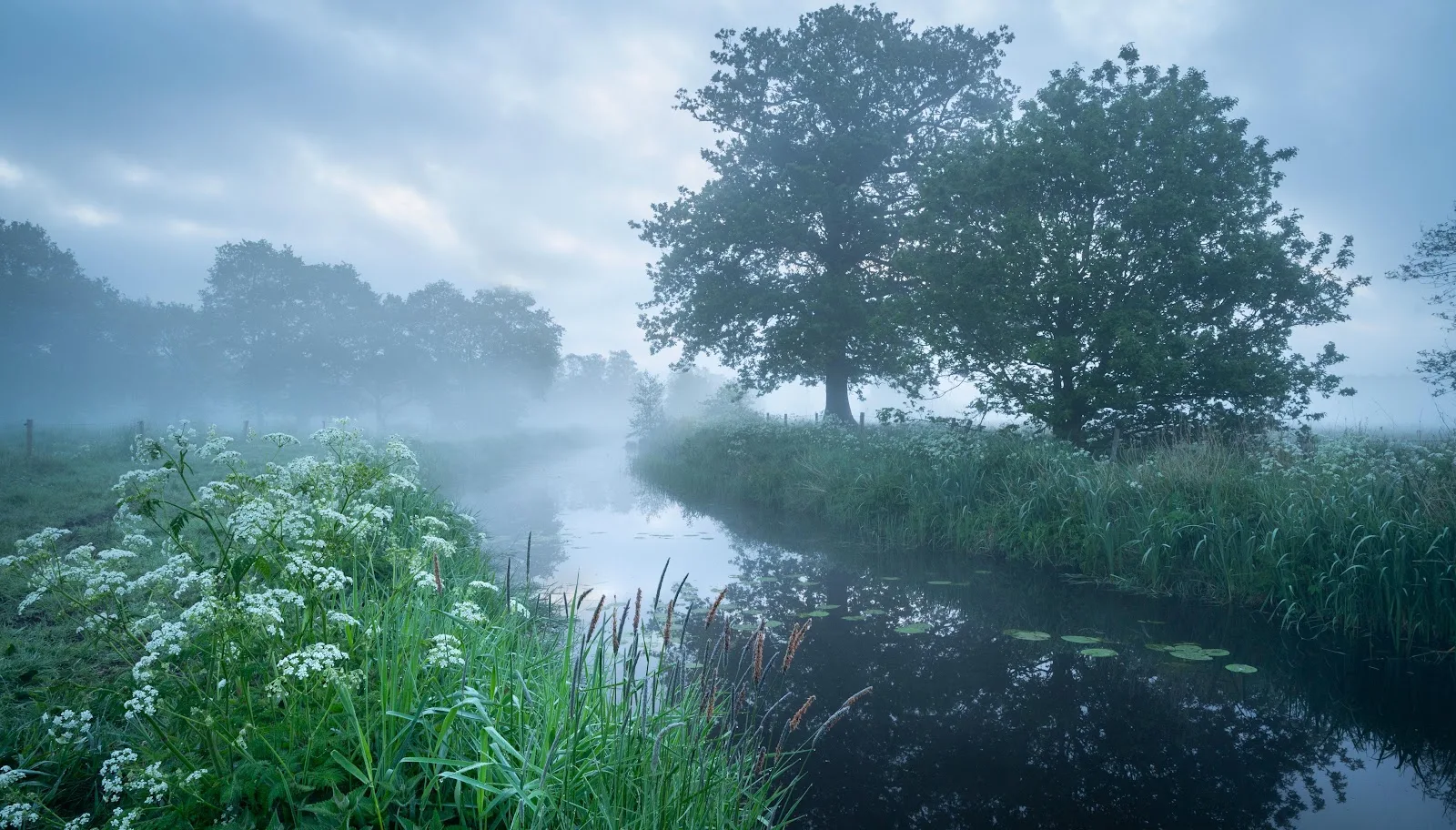 Misty River in the Morning - Nature Photography 5K Wallpaper (5886x3354)