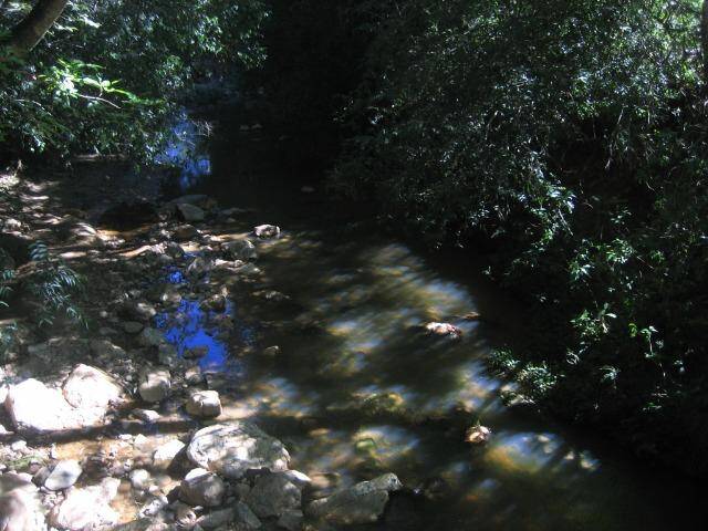 Fazenda em Ipameri-GO 10