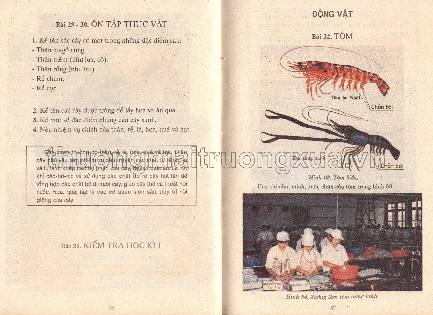 Tự nhiên và xã hội 3 (1993) - Trang 25