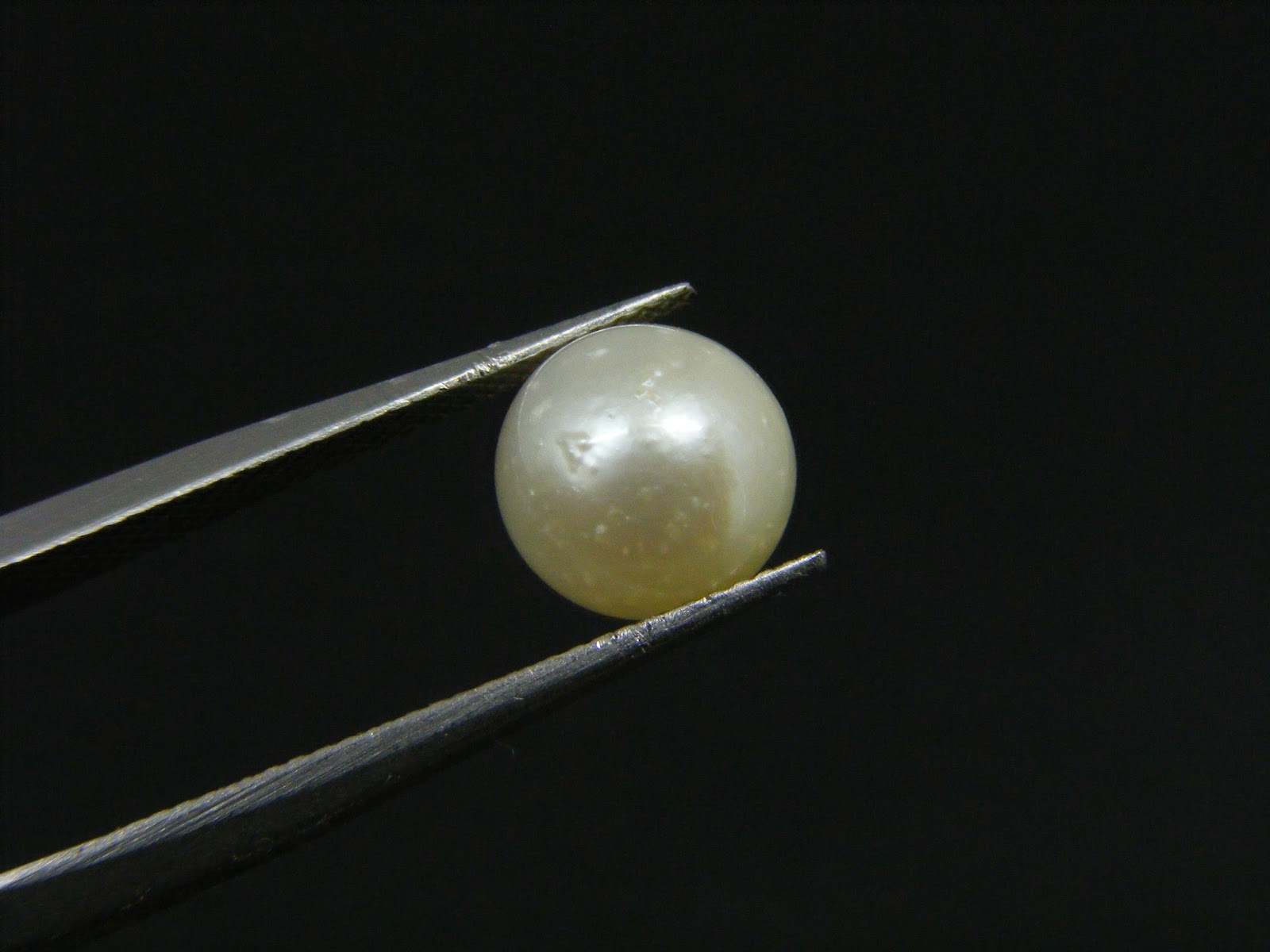South Sea Pearl 3.60