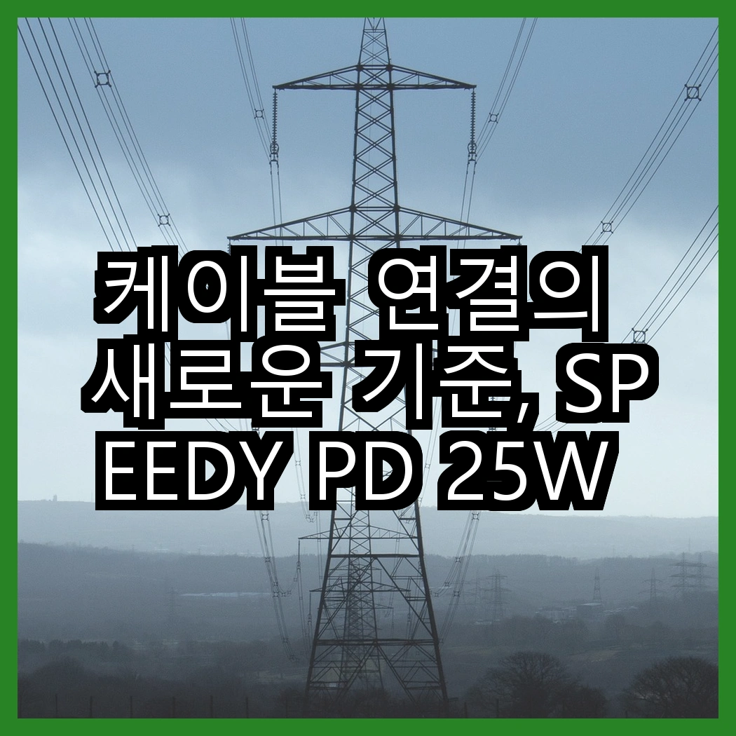 케이블 연결의 새로운 기준, SPEEDY PD 25W 충전기와 홈플래닛 고속충전케이블, 어떤 선택이 더 좋을까? 썸네일
