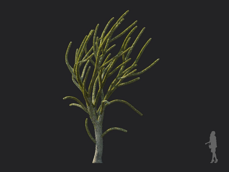 Maxtree - Plant Models Vol.130