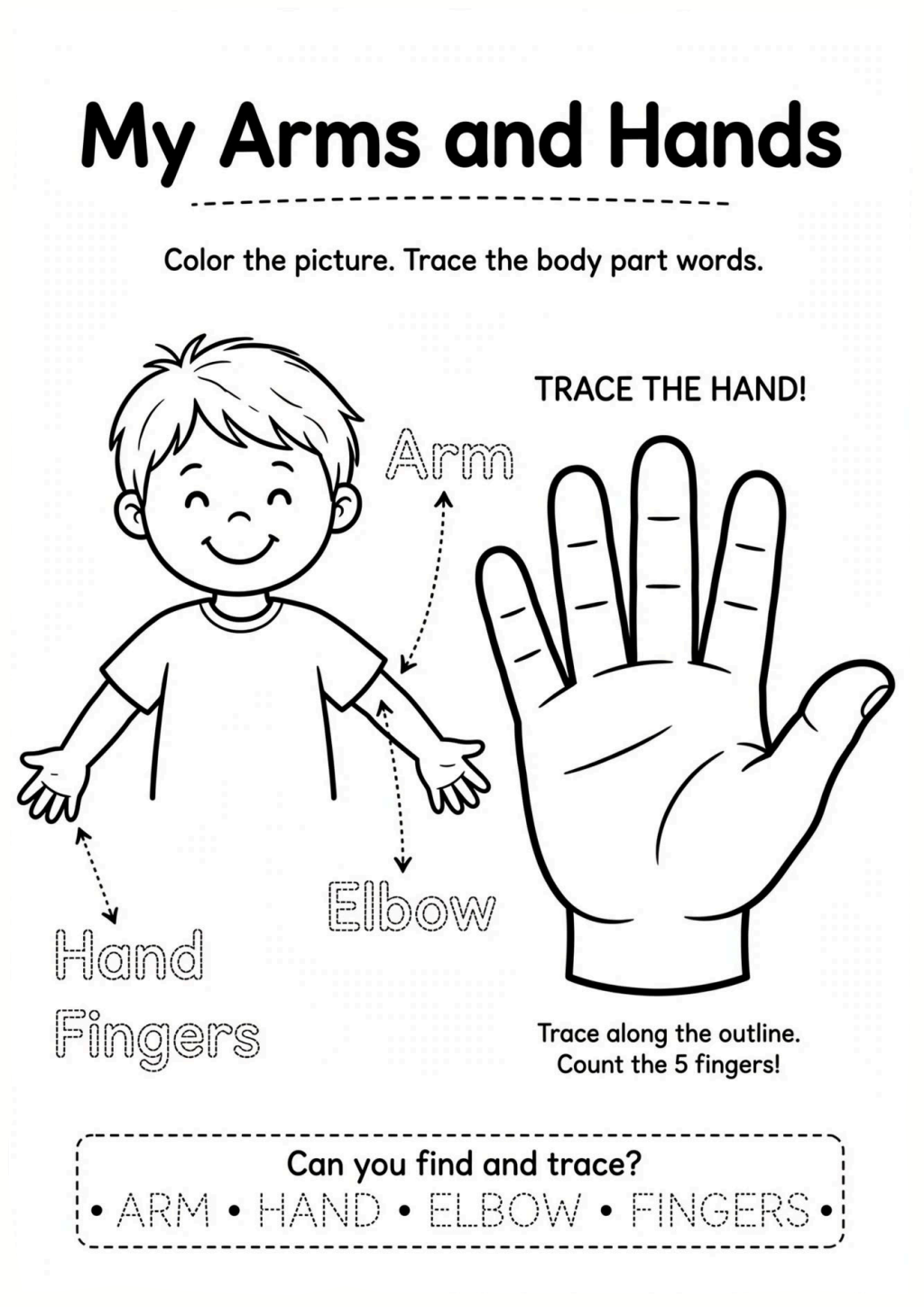 My Arms and Hands