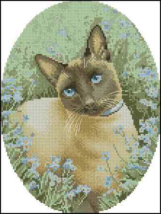 CMP 400071 Siamese Cat