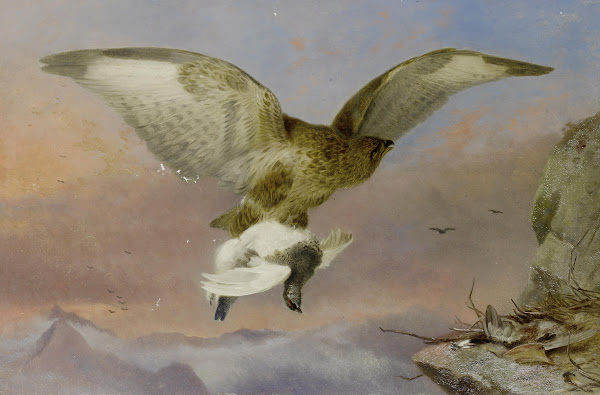 Buzzard With Ptarmigan 1876