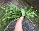 Ảnh Bước 1