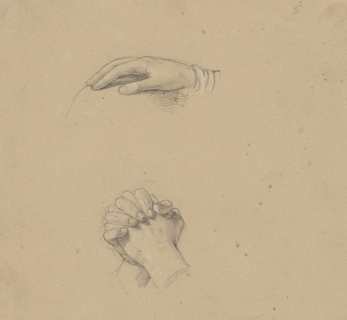 Study of a hand