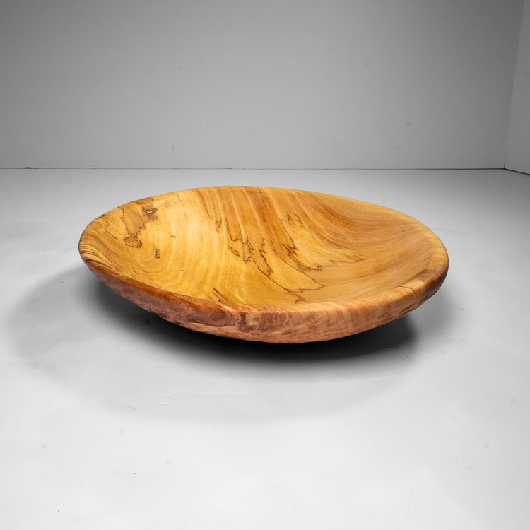 Siberian Elm - Scotia Heights - 14" view 2