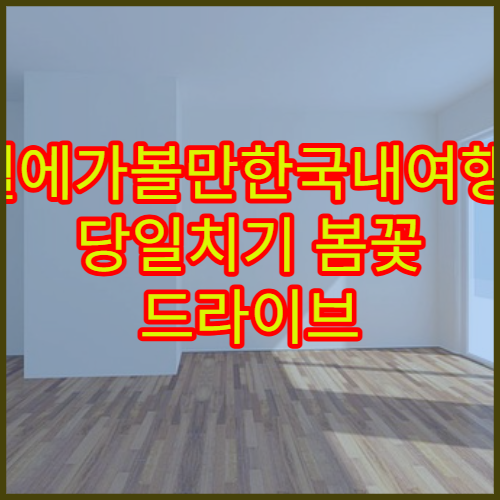 3월에가볼만한국내여행지 당일치기 봄꽃 드라이브 명소 10선