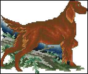 CMP 400177 Irish Setter