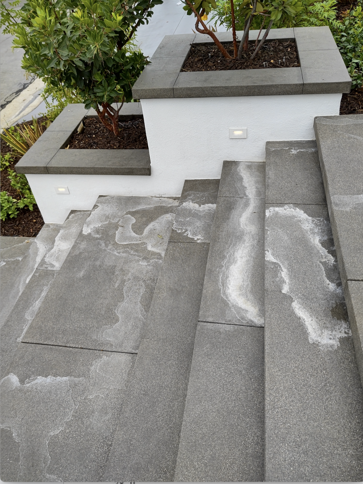 Property condition — defects visible within 6 months of completion