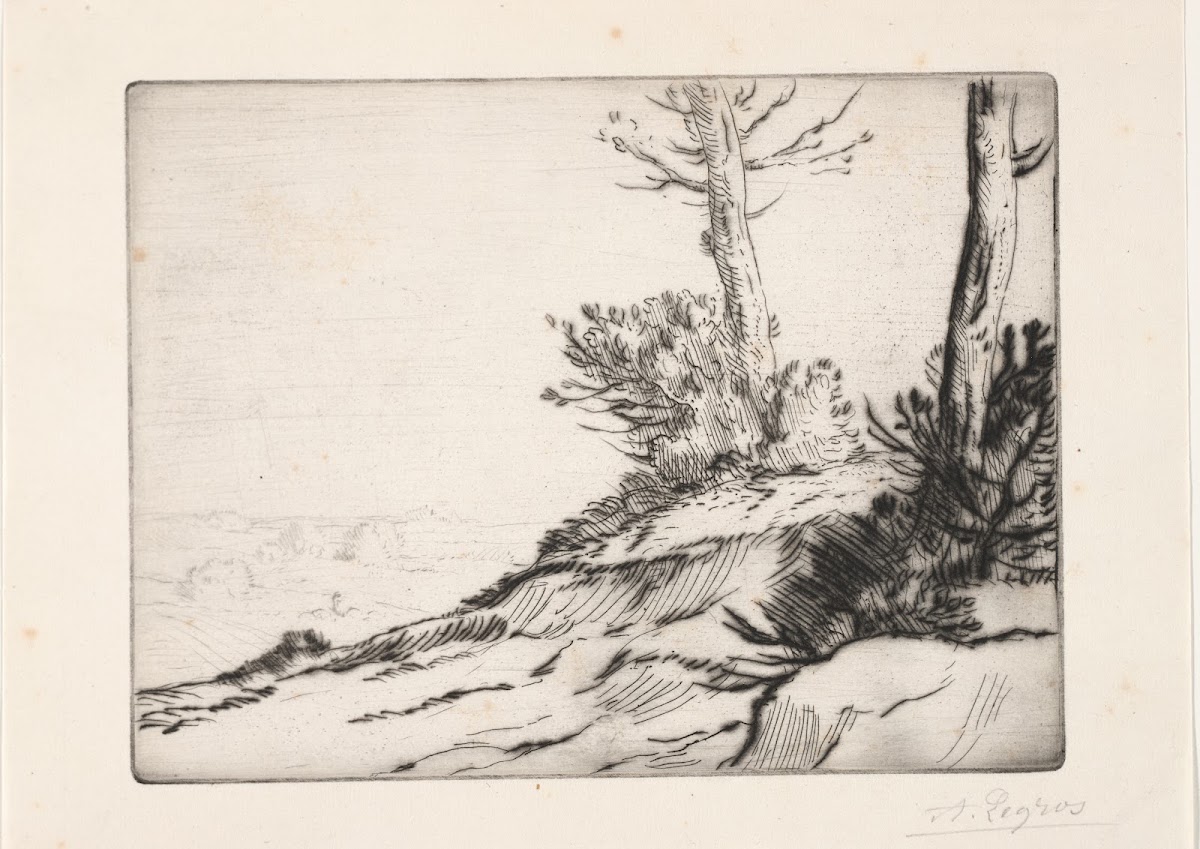 La butte aux broussailles c 18571911