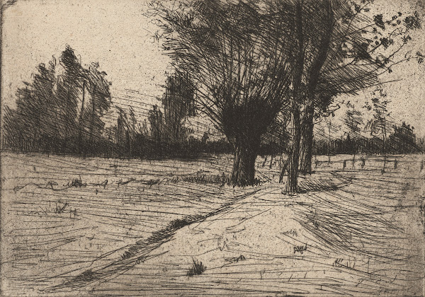 Paysage avec des arbres 1897 1898
