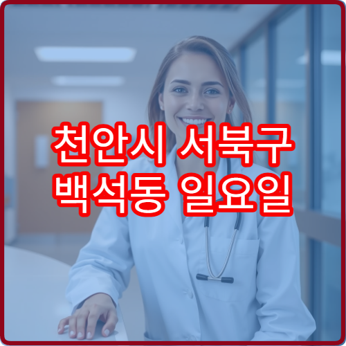 천안시 서북구 백석동 일요일 비뇨의학과 진료 병원 검사 상담