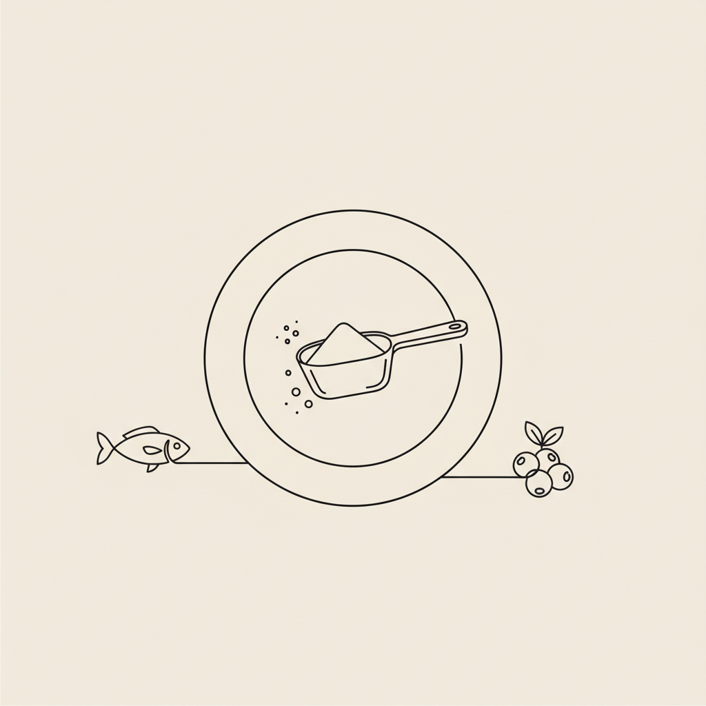 Minimal Tonum-style line illustration of a plate with a scoop of protein powder, fish icon, and berry cluster on beige background, depicting protein meal replacements.