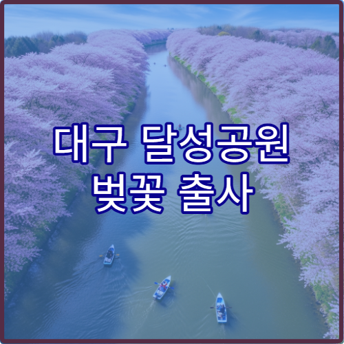 대구 달성공원 벚꽃 출사 황금 시간대와 사진작가 추천 스팟 완벽 정리