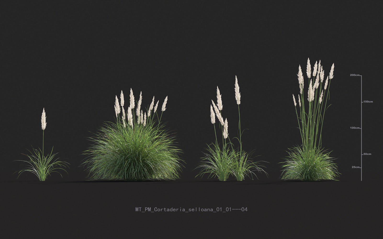 Maxtree - Plant Models Vol.20