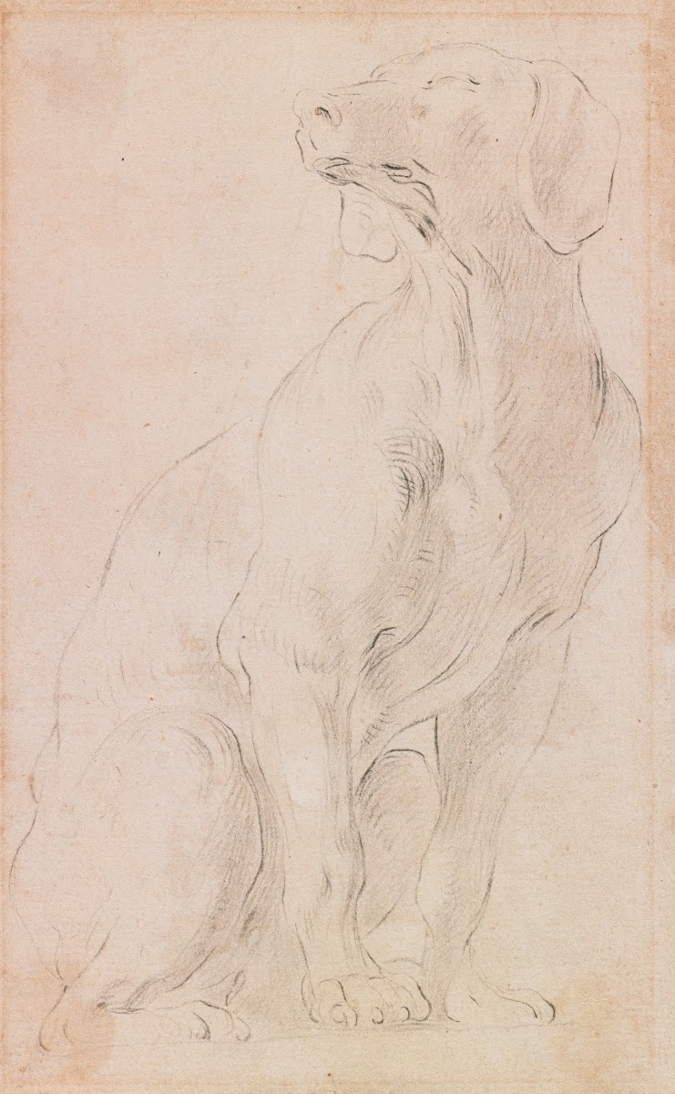 Seated Dog 171015