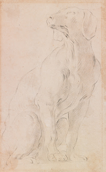 Seated Dog 171015