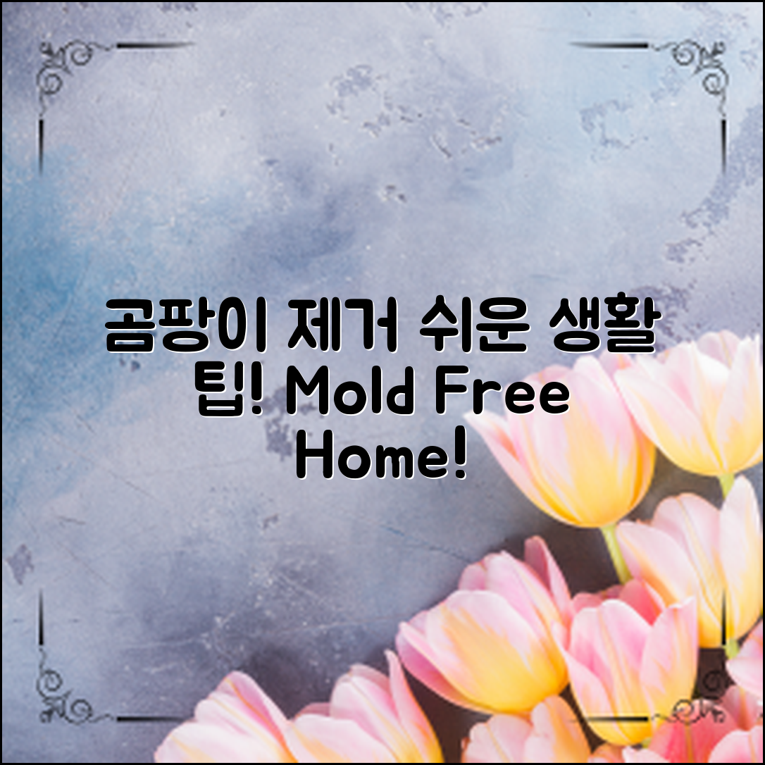 곰팡이 제거 생활 팁, 쉽게 해보세요!
