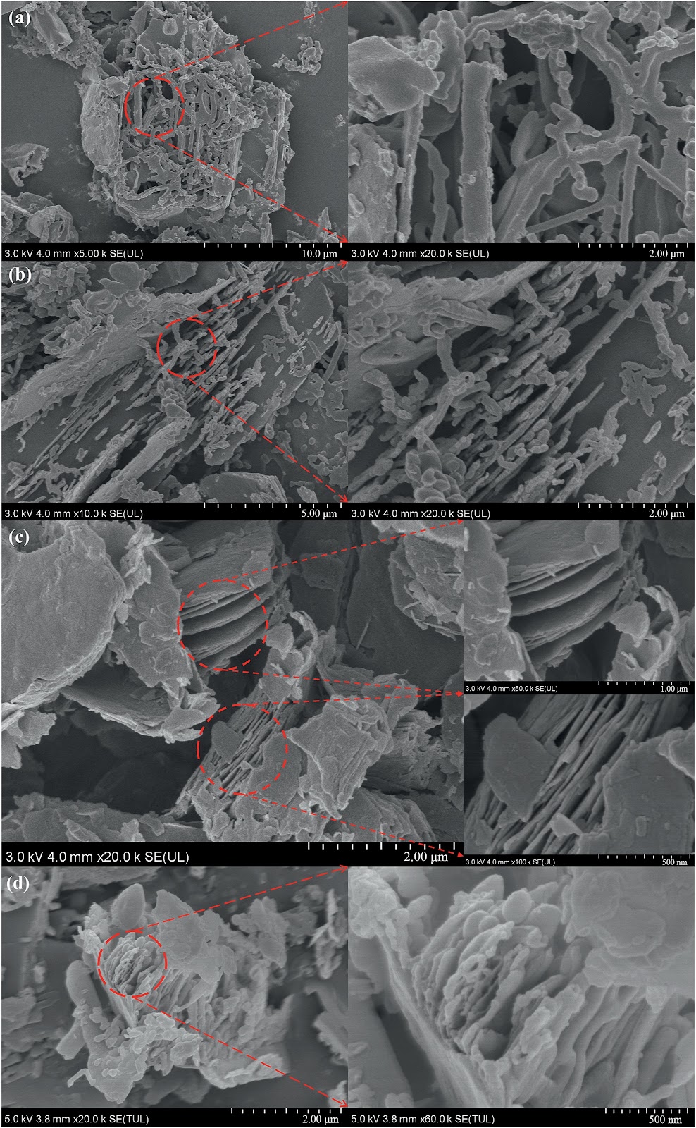 Construction of direct-Z-scheme heterojunction photocatalyst of g-C3N4/Ti3C2/TiO2 composite and its degradation behavior for dyes of Rhodamine B