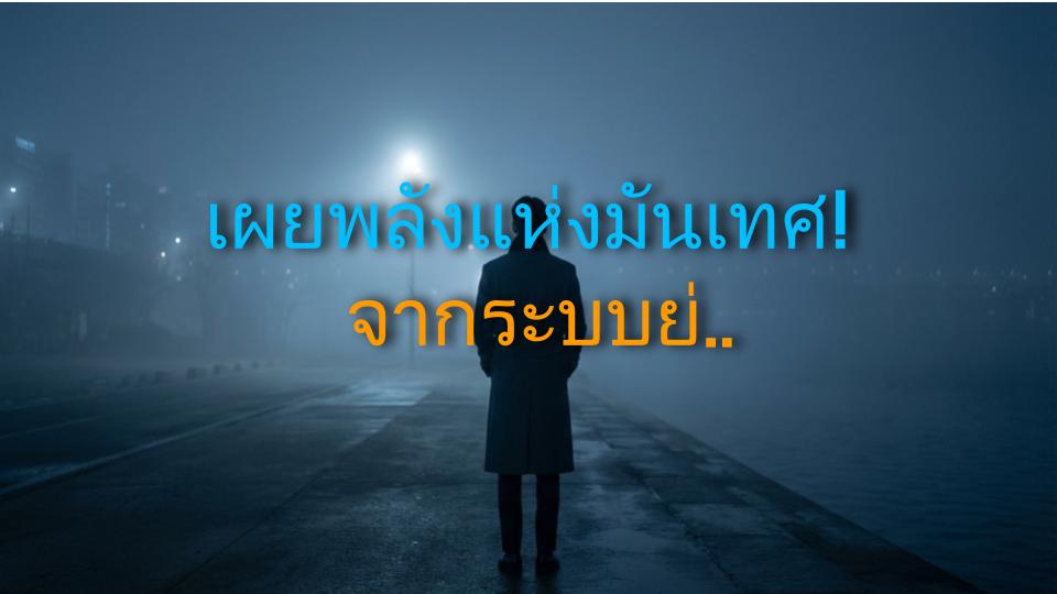 เผยพลังแห่งมันเทศ! จากระบบย่อยถึงน้ำตาลในเลือด สิ่งที่คุณไม่เคยรู้เกี่ยวกับมันเทศ