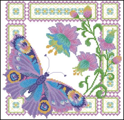 CMP 130206 Bright Butterfly With A Beautiful Ornament