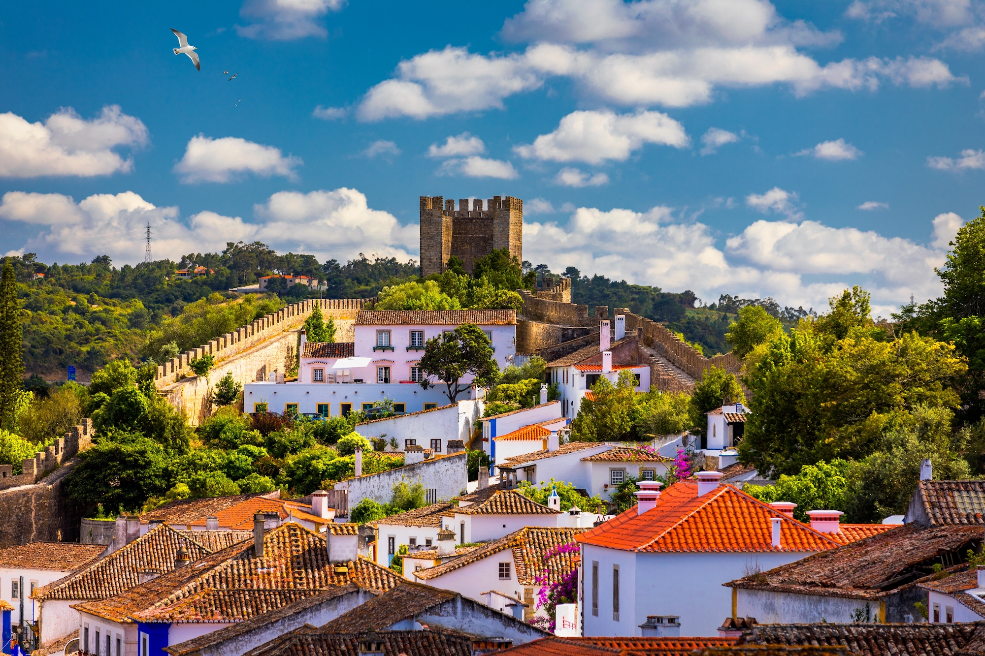 9-Day Portugal Journey: Porto, Nazaré & Fátima