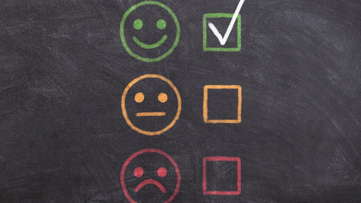 학교 선택 시 고려해야 할 교육정책 기준과 평가 방법