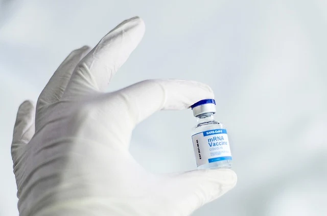 Gambar Ilustrasi Artikel