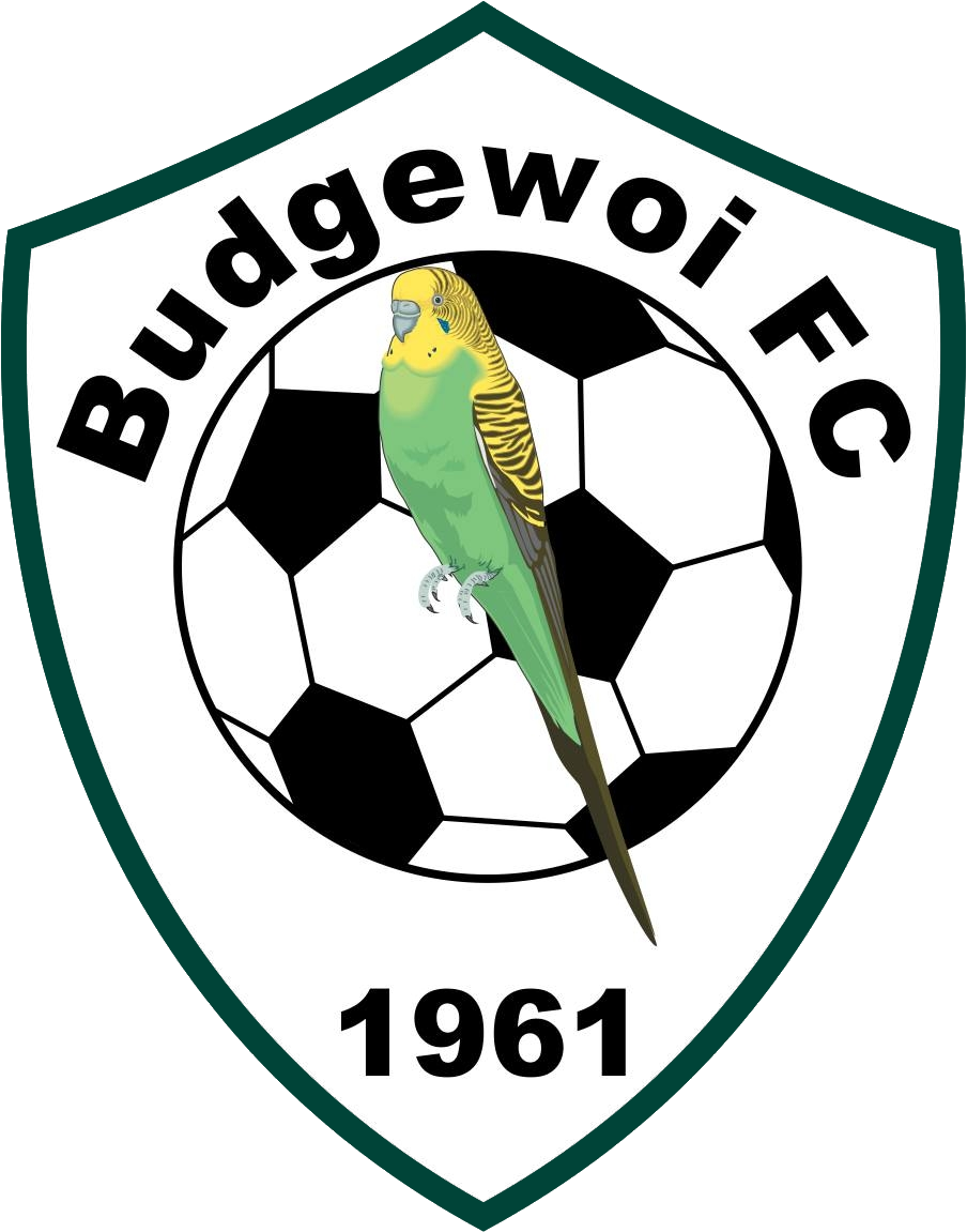 Budgewoi logo