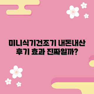 미니식기건조기, 내돈내산 리뷰, 효과적인 식기건조기, 식기건조기 추천, 주방 가전