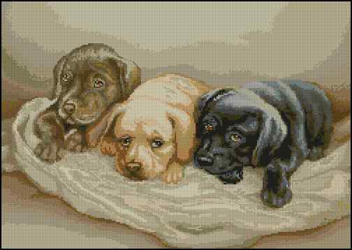 CMP 400368 Three Little Dogs