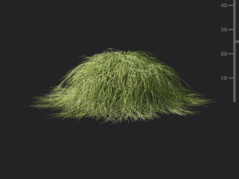 Maxtree - Plant Models Vol.119