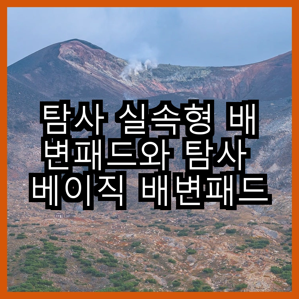 탐사 실속형 배변패드와 탐사 베이직 배변패드, 어떤 선택이 더 나을까? 썸네일